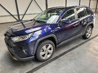 Coche accidentado Toyota Rav-4 Hybrid 2.5 131-KW Automaat 2-WD Panoramadak 2019/1