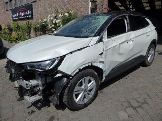 škoda osobní automobily Opel Grandland X Innovation 2021/9