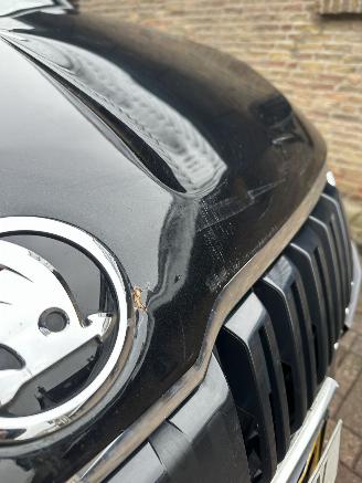 Skoda Karoq 1.5 TSI ACT Style business picture 33