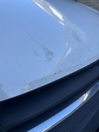 Volkswagen Caddy TDI L1H1 Comfortline picture 22