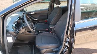 Ford Fiesta Ford Fiesta 1.0 EcoBoost Titanium picture 18