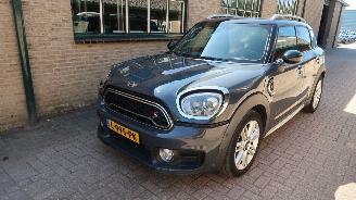 Avarii autoturisme Mini Countryman Mini Countryman 2.0 Cooper SD ALL4 Chili 2017/7