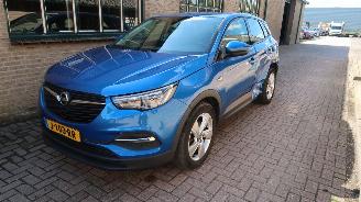  Opel Grandland Opel Grandland X 1.2 Turbo 120 Jaar Edition 2019/6