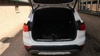 BMW X1 BMW X1 sDrive18i High Executive picture 22