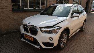  BMW X1 BMW X1 sDrive18i High Executive 2018/6