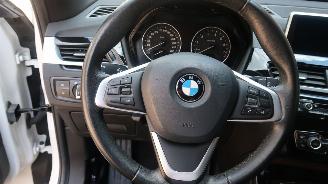 BMW X1 BMW X1 sDrive18i High Executive picture 11