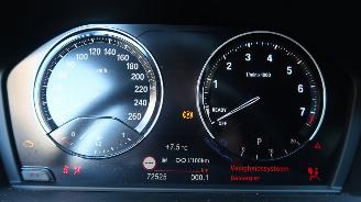BMW X1 BMW X1 sDrive18i High Executive picture 7
