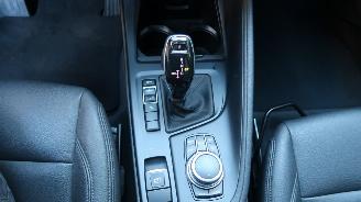 BMW X1 BMW X1 sDrive18i High Executive picture 13