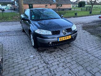 Renault Mégane Coupe Cabriolet 2.0-16V Privilège Luxe picture 11