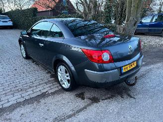 Renault Mégane Coupe Cabriolet 2.0-16V Privilège Luxe picture 6