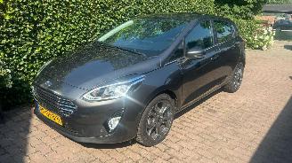 Unfallwagen Ford Fiesta 1.0 EcoBoost Titanium 2017/8