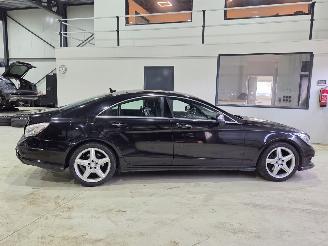 Mercedes CLS 250 CDI picture 5
