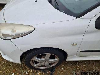 Peugeot 206 206+ (2L/M), Hatchback, 2009 / 2013 1.4 XS picture 12