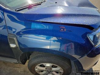 Dacia Duster Duster (SR), SUV, 2017 / 2024 1.6 16V picture 11