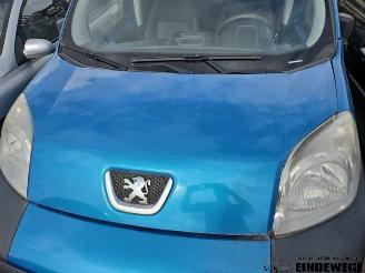 Peugeot Bipper Bipper Tepee (AJ), MPV, 2008 1.3 HDI picture 10