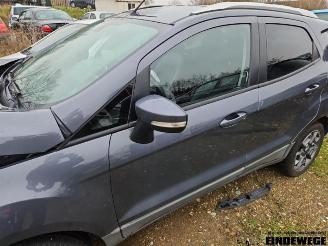 Ford EcoSport EcoSport (JK8), SUV, 2013 1.0 EcoBoost 12V 125 picture 12