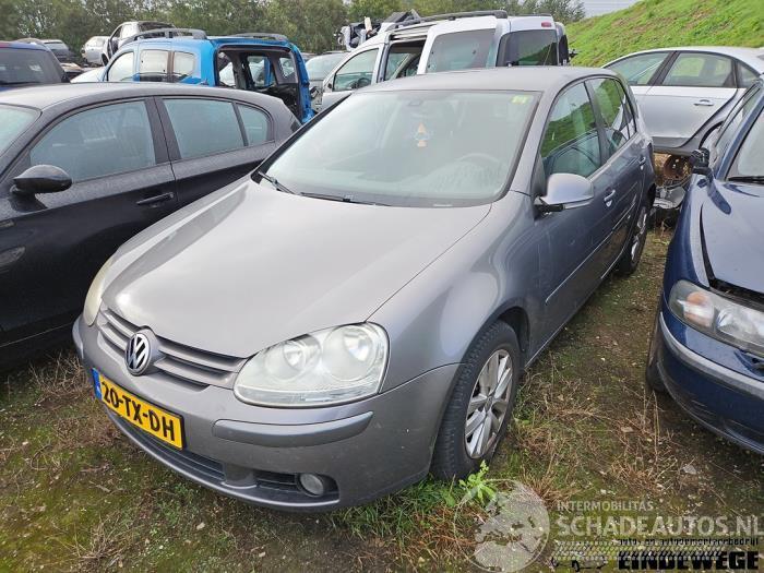 Volkswagen Golf Golf V (1K1), Hatchback, 2003 / 2010 1.4 TSI 140 16V