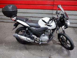 danneggiata motocicli Honda CBF 125  2010/5
