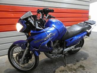 Honda Transalp 650  picture 10