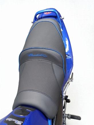 Suzuki Bandit 600  picture 9