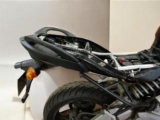 Kawasaki Versys  picture 18