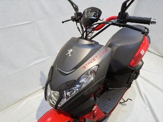 Peugeot  STREET ZONE picture 5