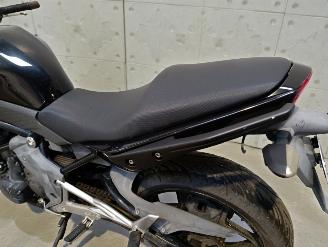 Kawasaki ER - 6 N  picture 8