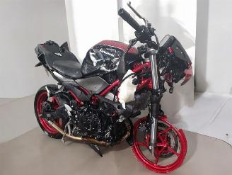  Kawasaki Z 500  2025/2