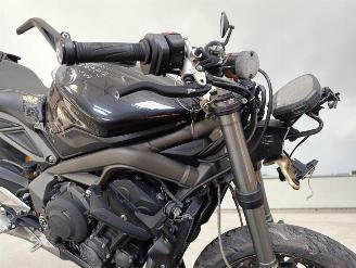 Triumph Street Triple RS picture 4