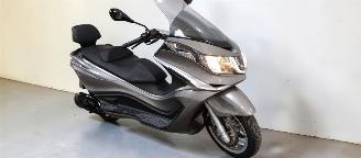 Piaggio X10  picture 16
