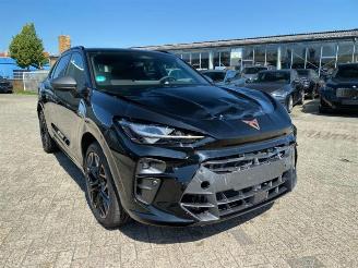 Avarii autoturisme Cupra Volante  2025/3