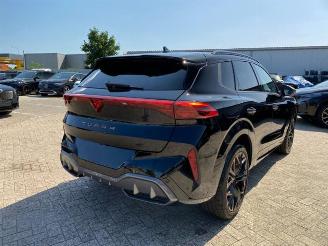 Auto incidentate Cupra   2025/3
