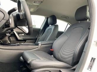 Mercedes A-klasse Progressive Line Advanced *NAVI - KAM* picture 15