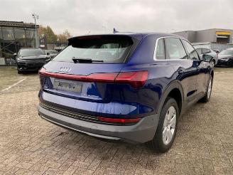 Audi E-tron 55 quattro picture 5