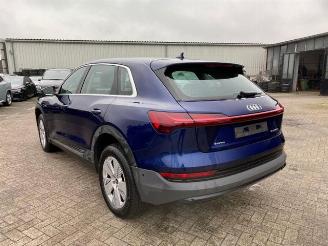 Audi E-tron 55 quattro picture 7