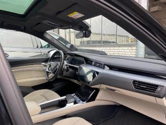 Audi E-tron Sportback 55 quattro HUD/PANO/360/B&O picture 16
