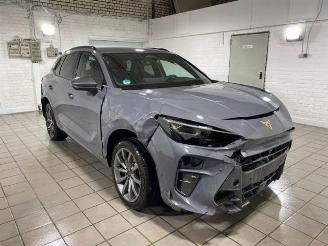 Cupra Terramar VZ e-Hybrid HUD/360/AHK/NAVI picture 6