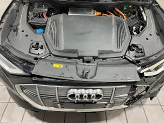 Audi E-tron Sportback 55 quattro HUD/PANO/360/B&O/TV picture 10