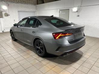 Damaged car Skoda Octavia RS Limousine 2.0 TDI DSG 4x4 2024/3