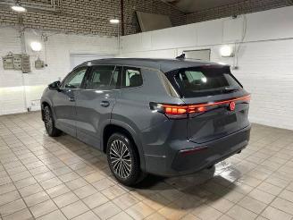 Unfallwagen Volkswagen Tayron 2.0 TDI DSG 4Motion Life 7-Sitz AHK/360 2025/9