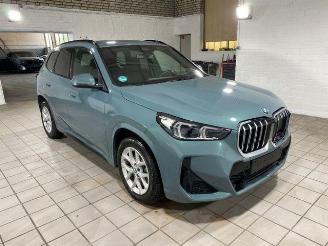 BMW X1 sDrive20d M Sport AHK/KAM/NAVI picture 1