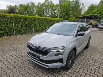 Skoda Karoq 1.5 TSI DSG Sportline KAM/NAVI picture 6