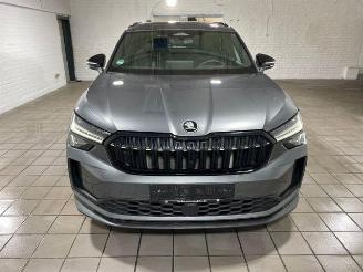 Skoda Kodiaq iV 1.5 TSI e-Hybrid Sportline HUD/KAM picture 11