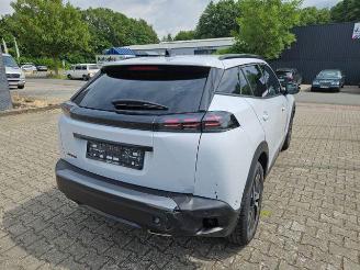 Peugeot 2008  picture 5