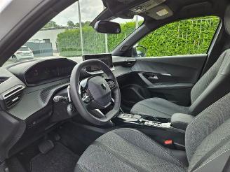 Peugeot 2008  picture 12