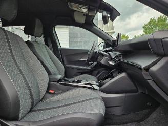 Peugeot 2008  picture 17