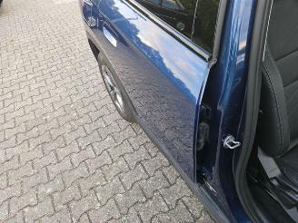 BMW X1 xDrive 25e PANO/KAM/NAVI picture 11