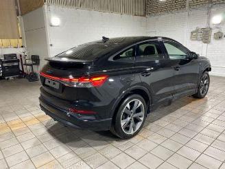 Audi Q4 e-tron 45 Sportback S line PANO/KAM/NAVI picture 9