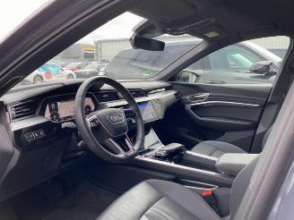 Audi Q8 e-tron 55 quattro advanced HUD/AHK/KAM/NAVI picture 17