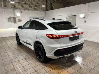 Audi Q5 Sportback e-Hybrid 220kW S line 360/NAVI picture 10